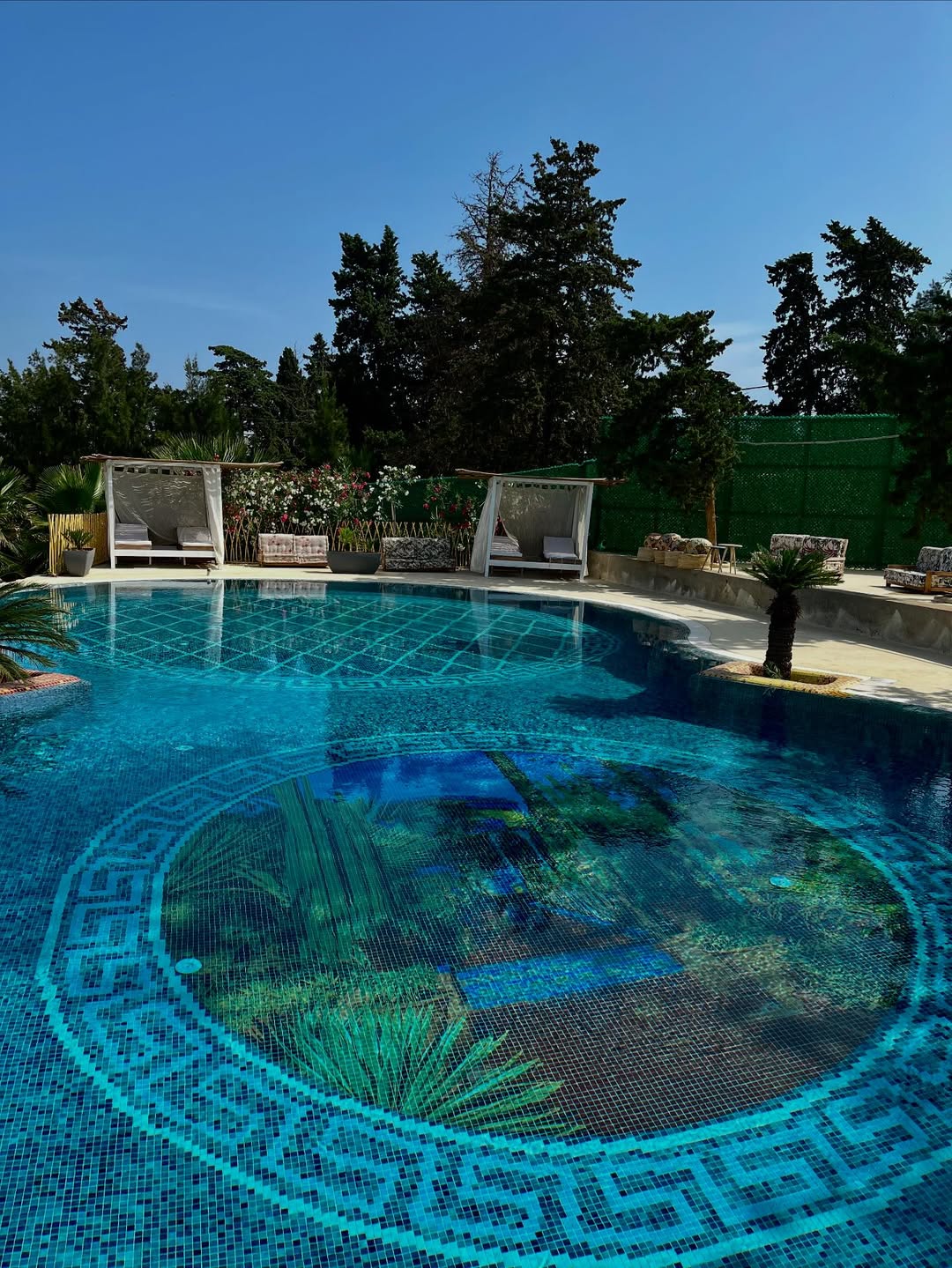 Piscine The Palm