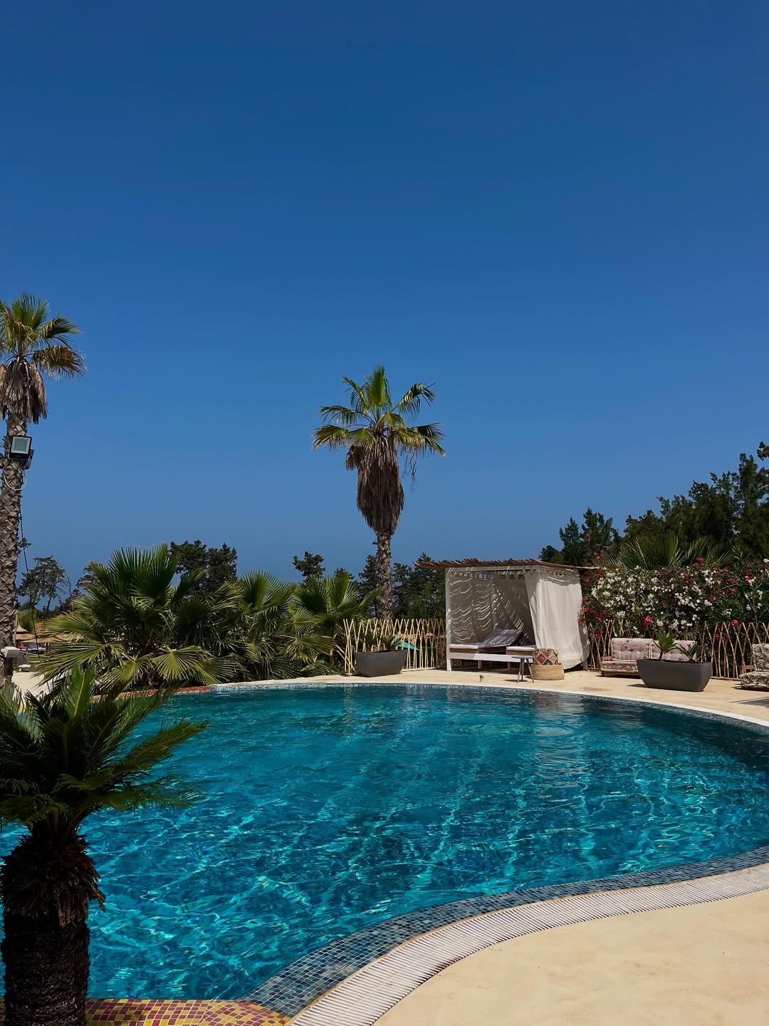 Piscine The Palm